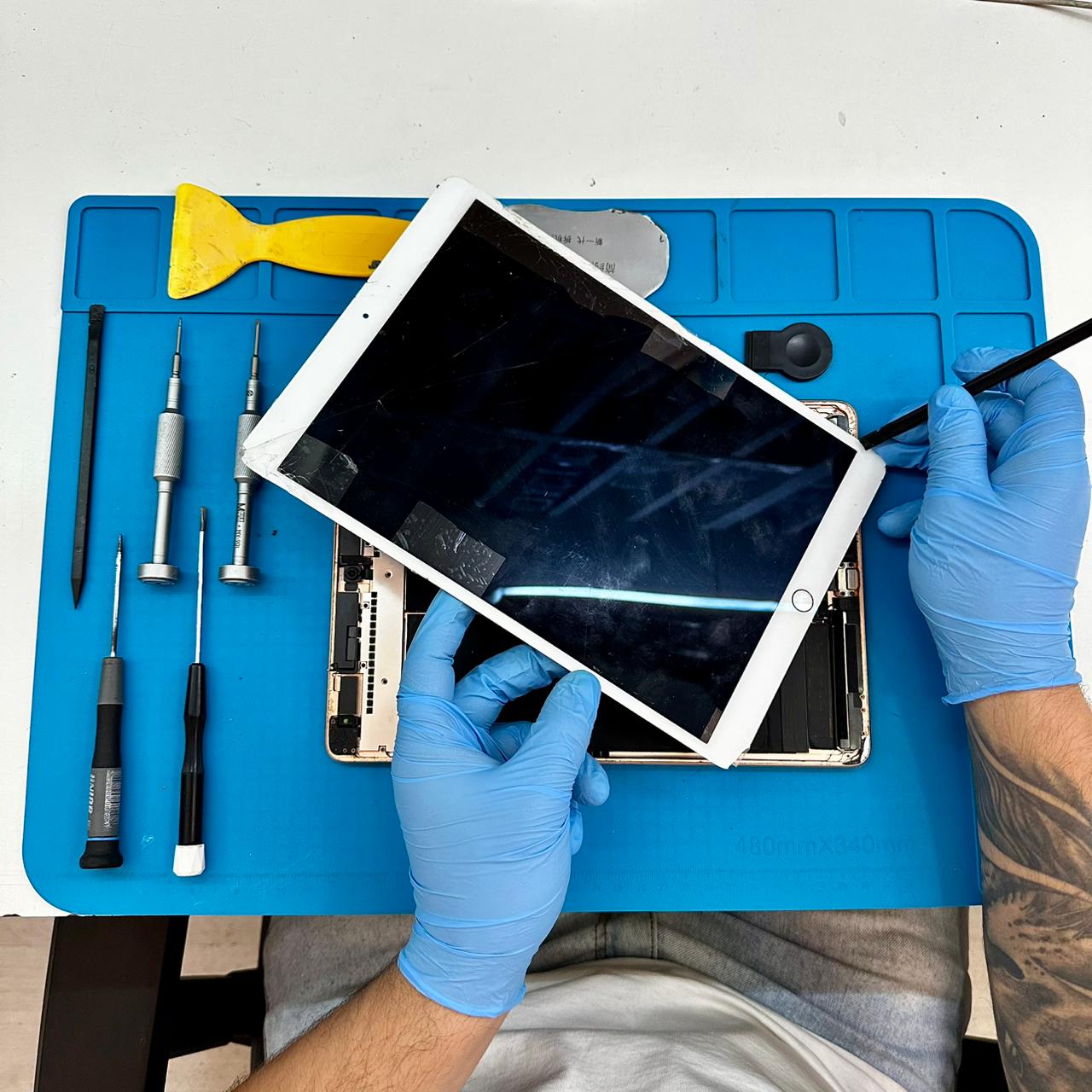 iPad